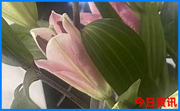 西安那里好玩景点推荐