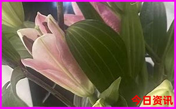 贵阳花果园有什么好玩的地方